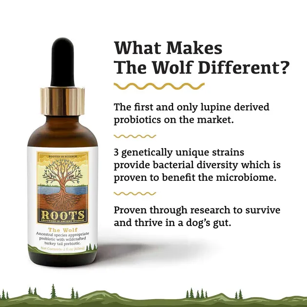 Adored Beast - The Wolf