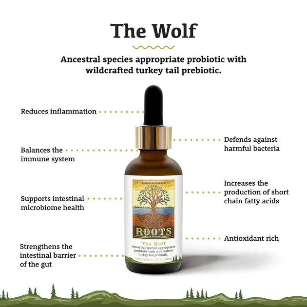 Adored Beast - The Wolf