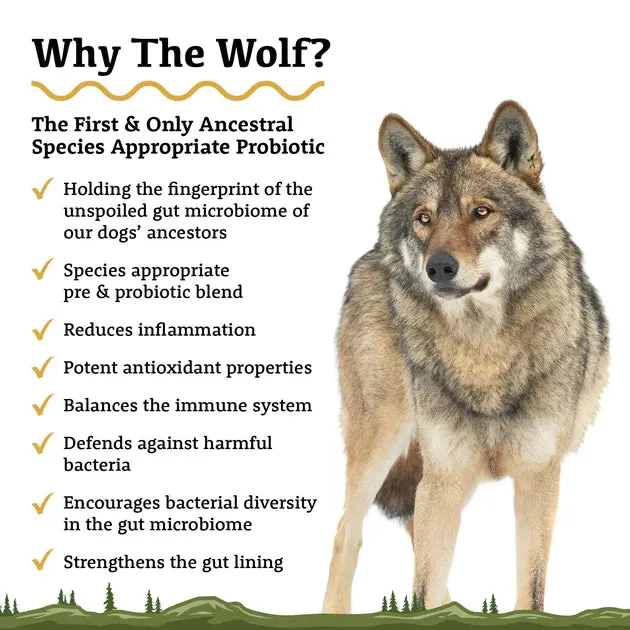 Adored Beast - The Wolf