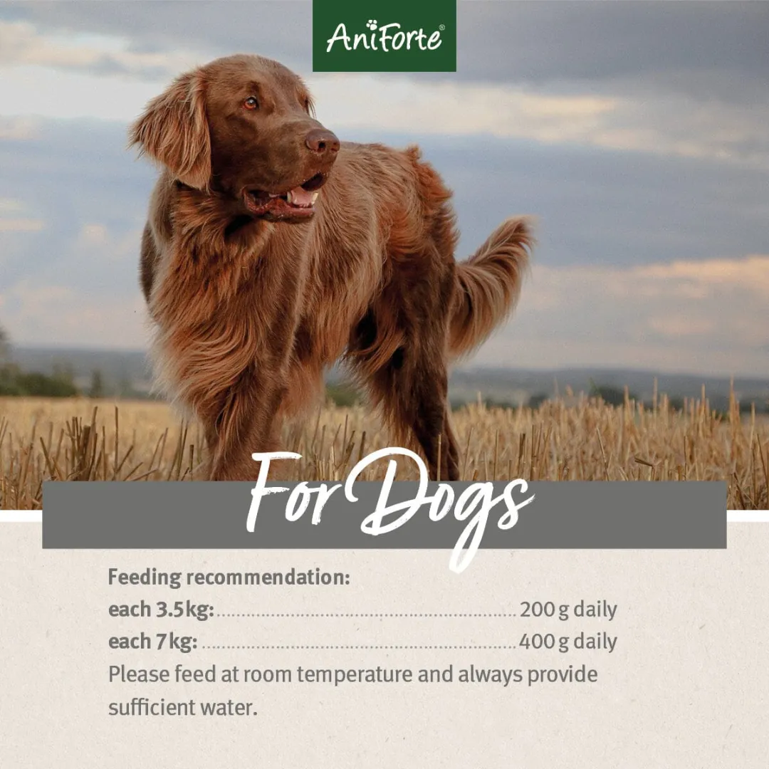 AniForte PureNature Duck Wet Food