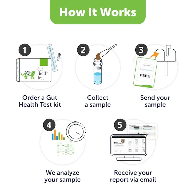 AnimalBiome - KittyBiome™ Gut Health Test