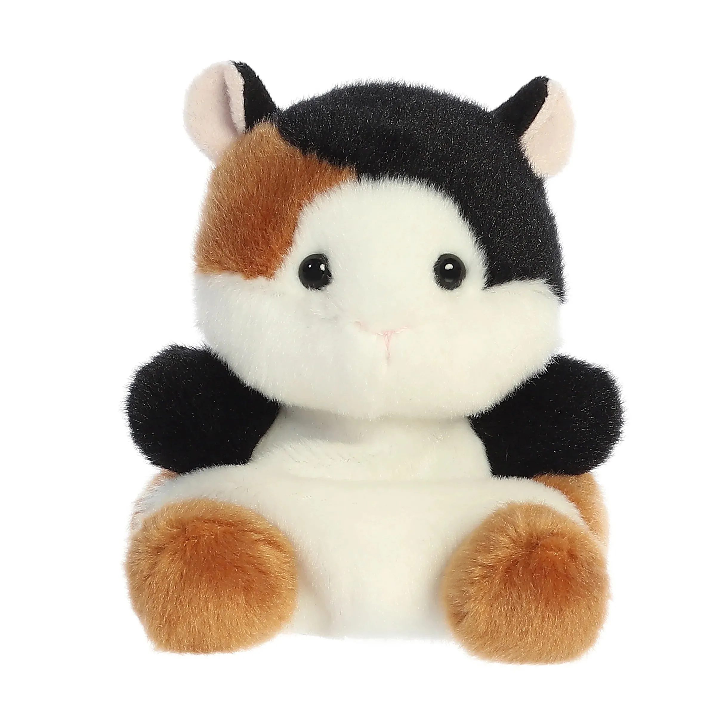 Aurora palm pal nutmeg guinea pig