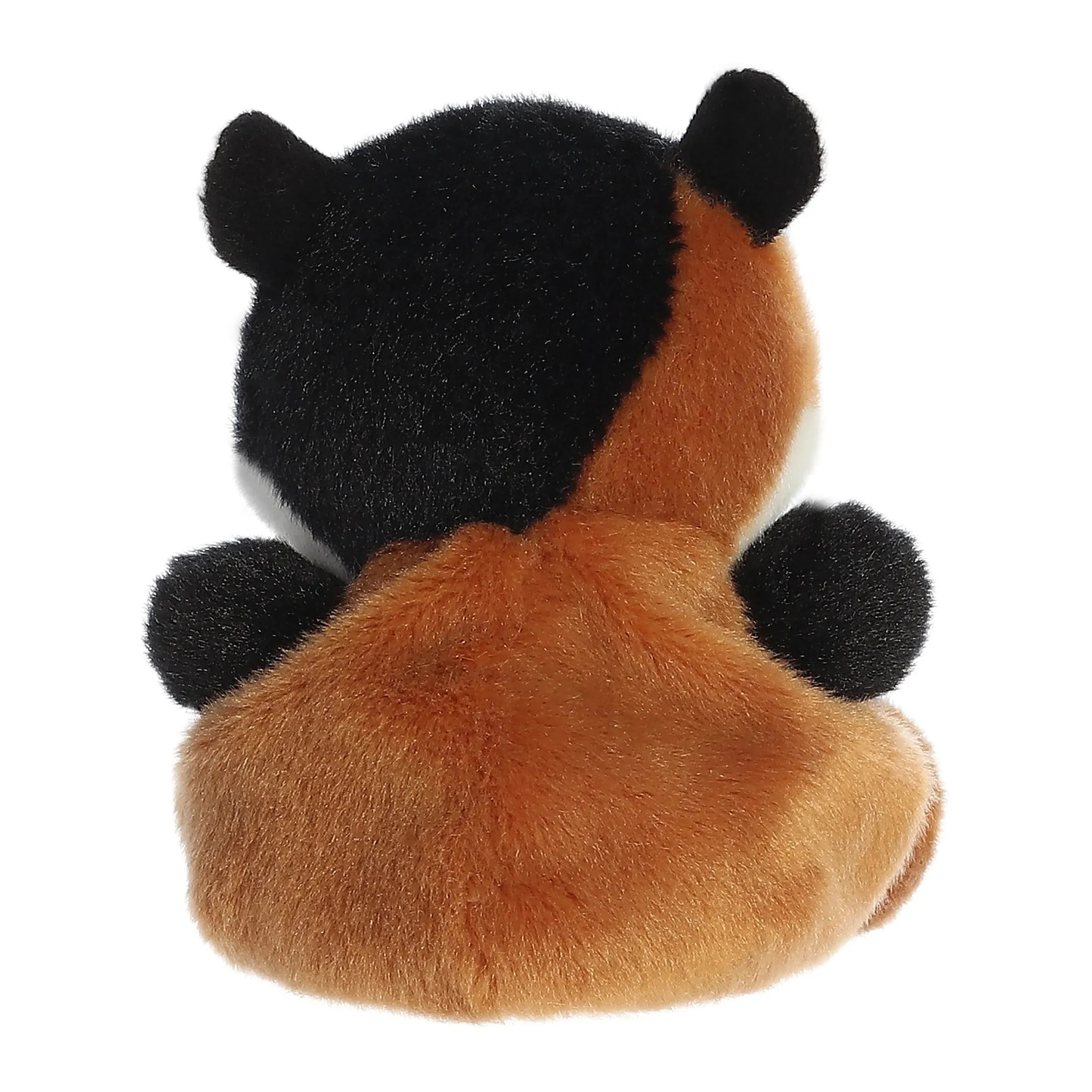 Aurora palm pal nutmeg guinea pig