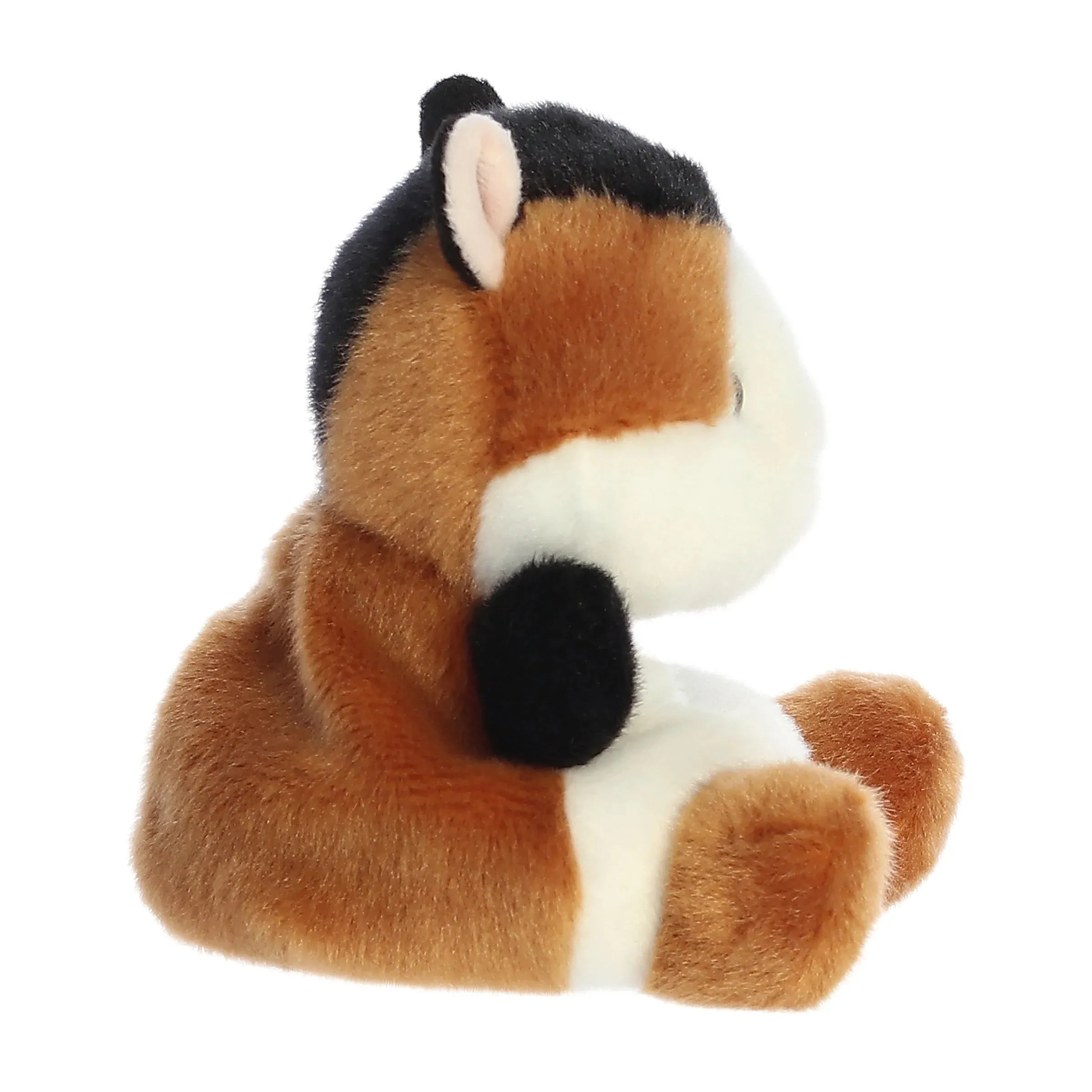 Aurora palm pal nutmeg guinea pig