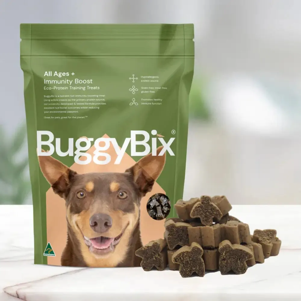 BuggyBix - Dried Treats For Dogs - All Ages   Immunity Boost Eco-Protein Training Treats - 170g