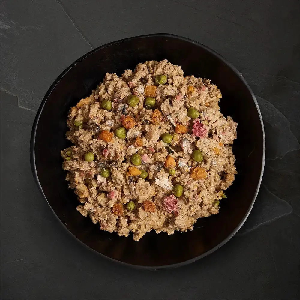 Canagan Dog Canned Food Salmon & Herring 400g