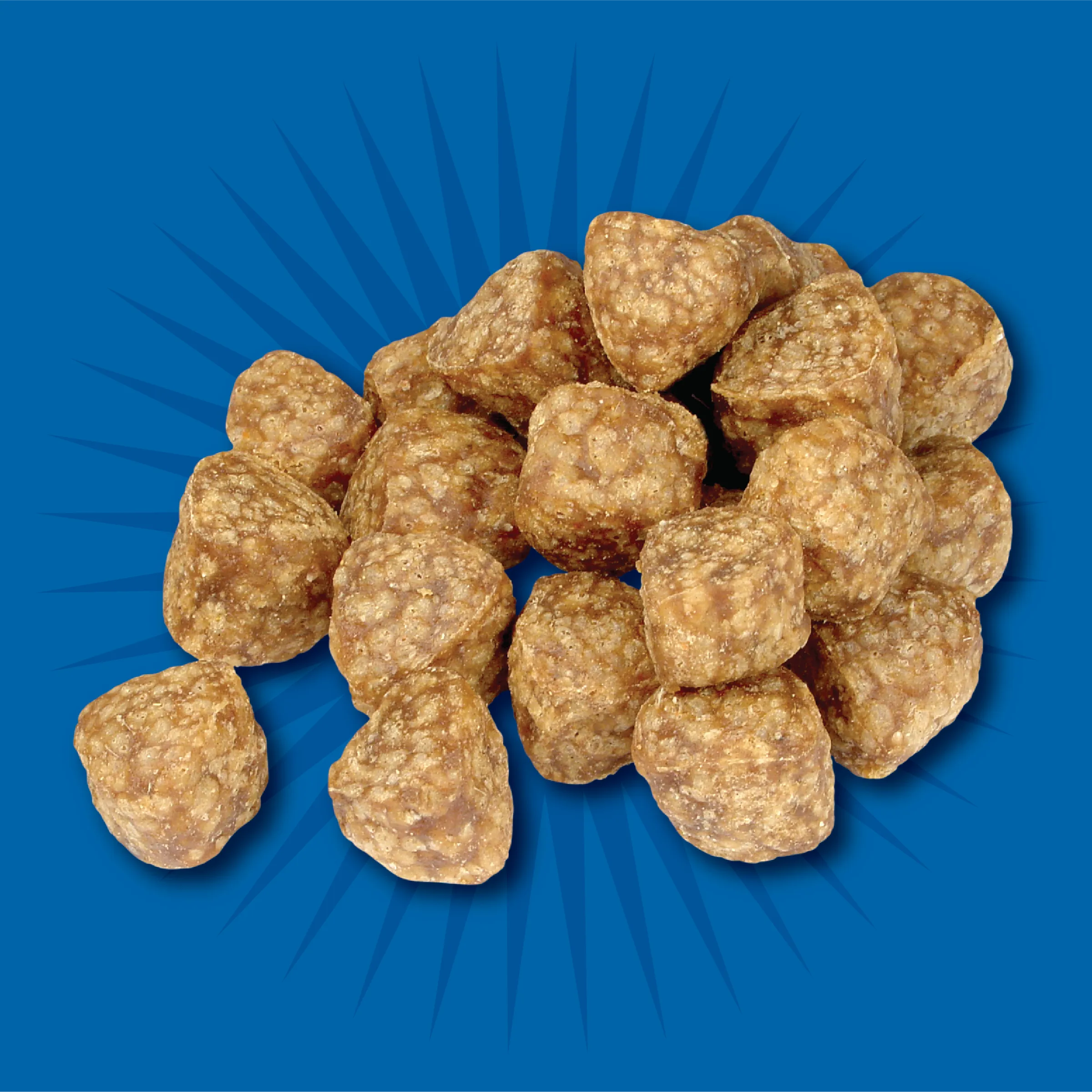 Classic Chicken, Cheese, & Fruit Meatball Bites | 6 oz | Evolve