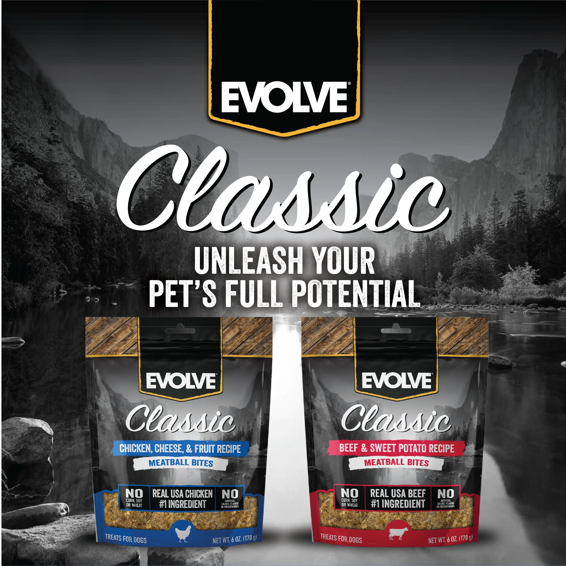 Classic Chicken, Cheese, & Fruit Meatball Bites | 6 oz | Evolve