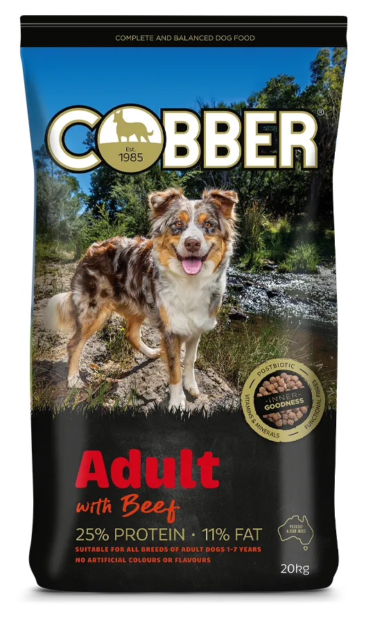 Cobber Adult Dog with Beef 20kg