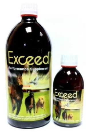 Exceed