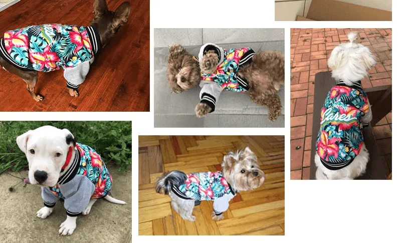 Fancy Jacket for Small Dogs