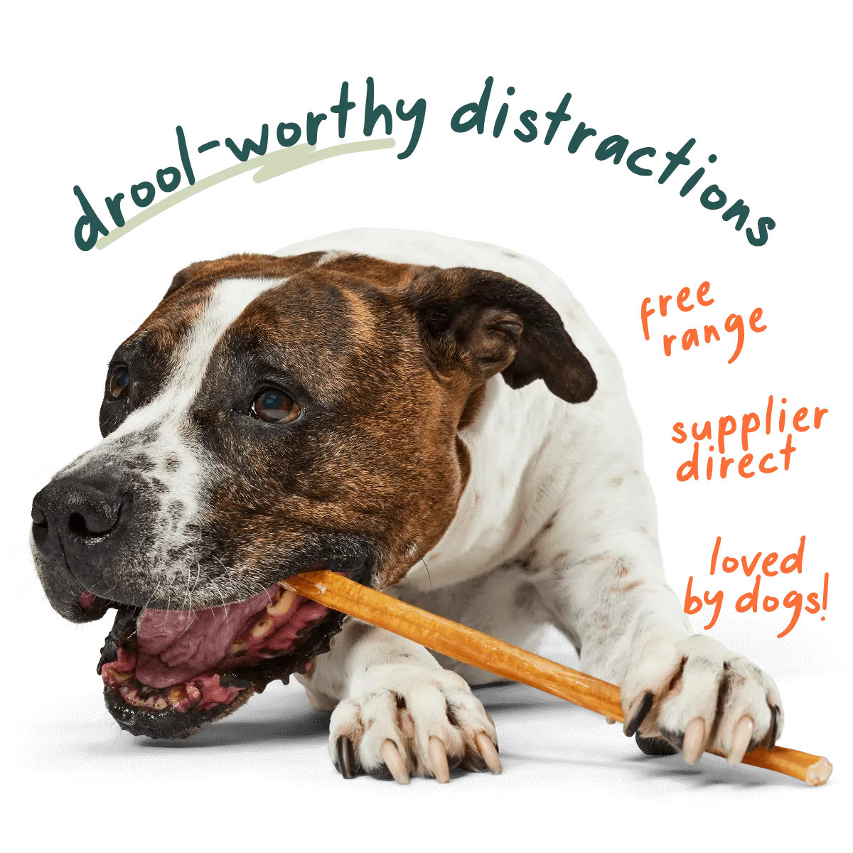 Free Range Bully Sticks