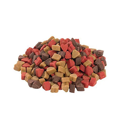 Nobby StarSnack Training Mix