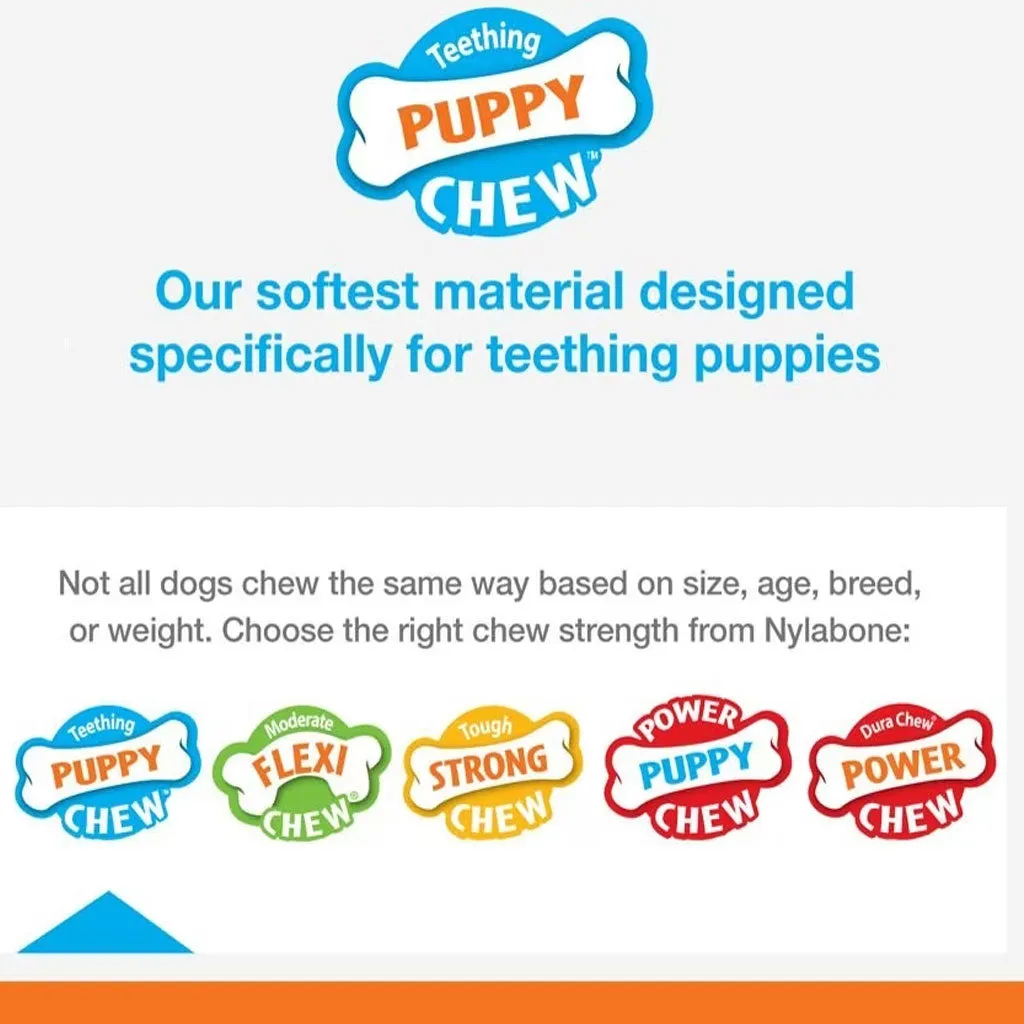 Nylabone Classic Puppy Chew Flavored Durable Dog Chew Toy, X-Small/Petite