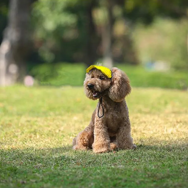 Outdoor sun canopy for dogs