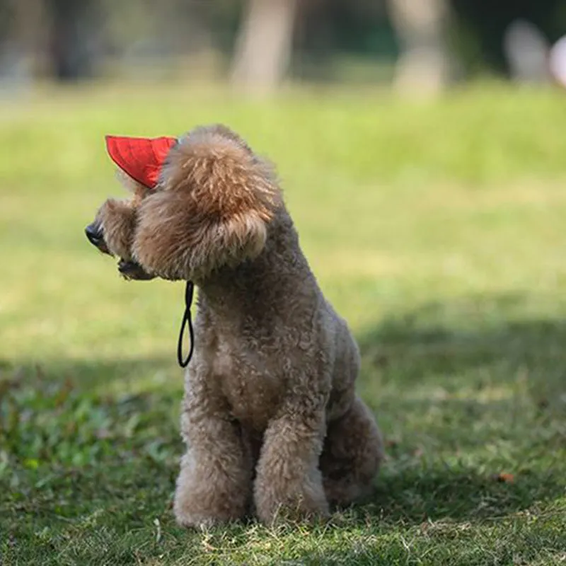 Outdoor sun canopy for dogs