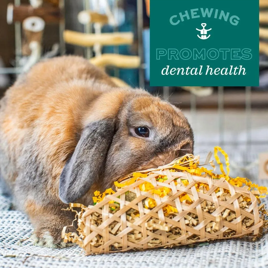 Oxbow Animal Health Enriched Life Timothy Orange Slice Small Animal Chew Toy