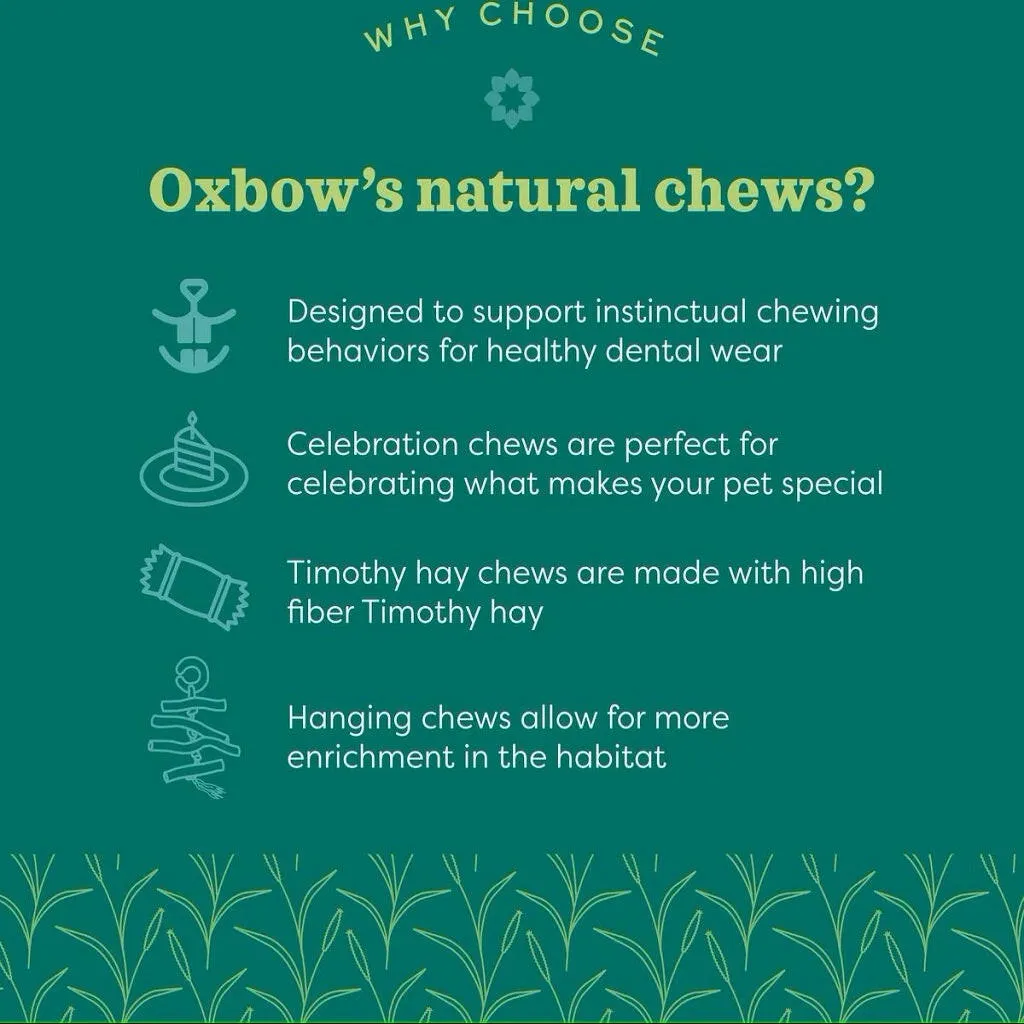 Oxbow Animal Health Enriched Life Timothy Orange Slice Small Animal Chew Toy