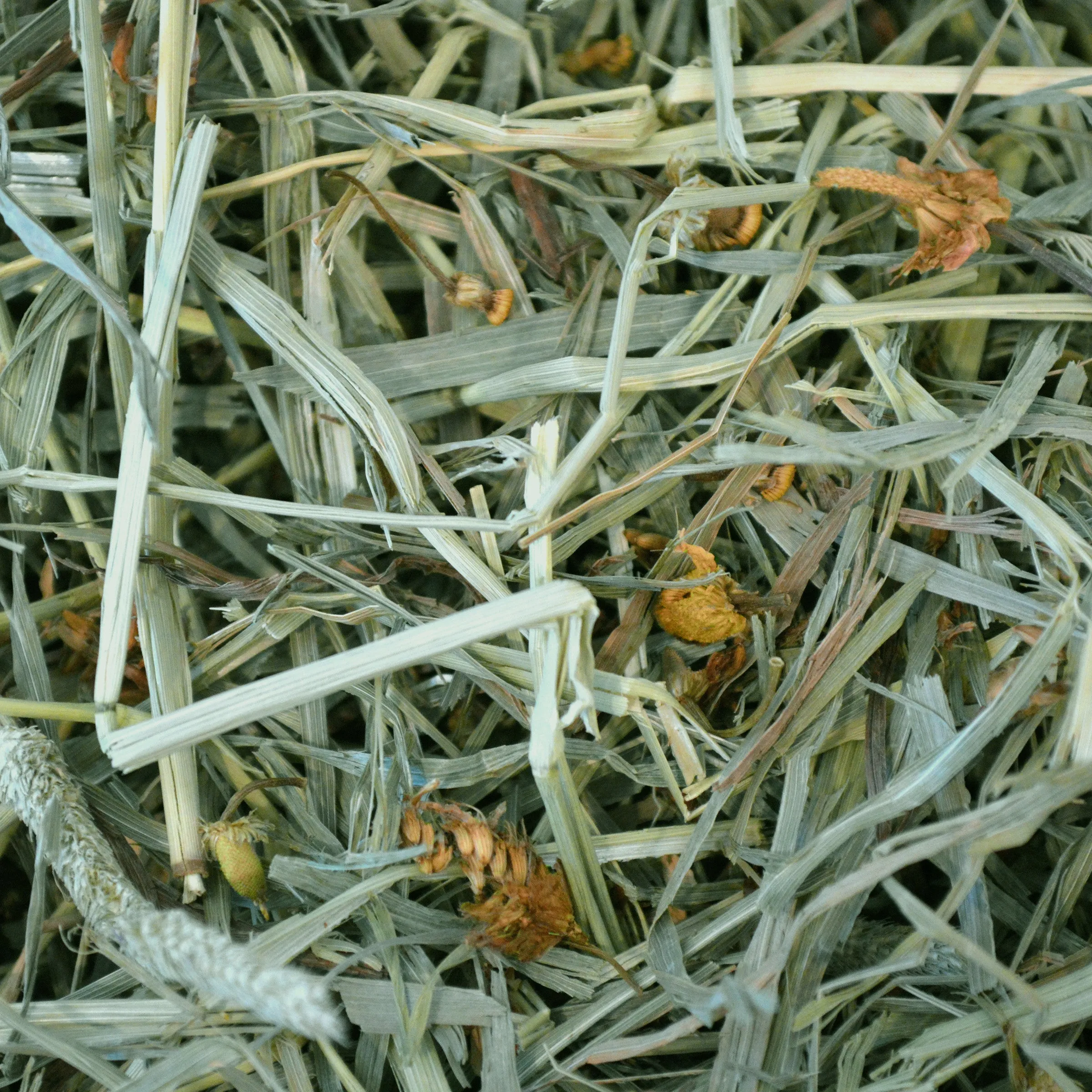 Oxbow Botanical Hay