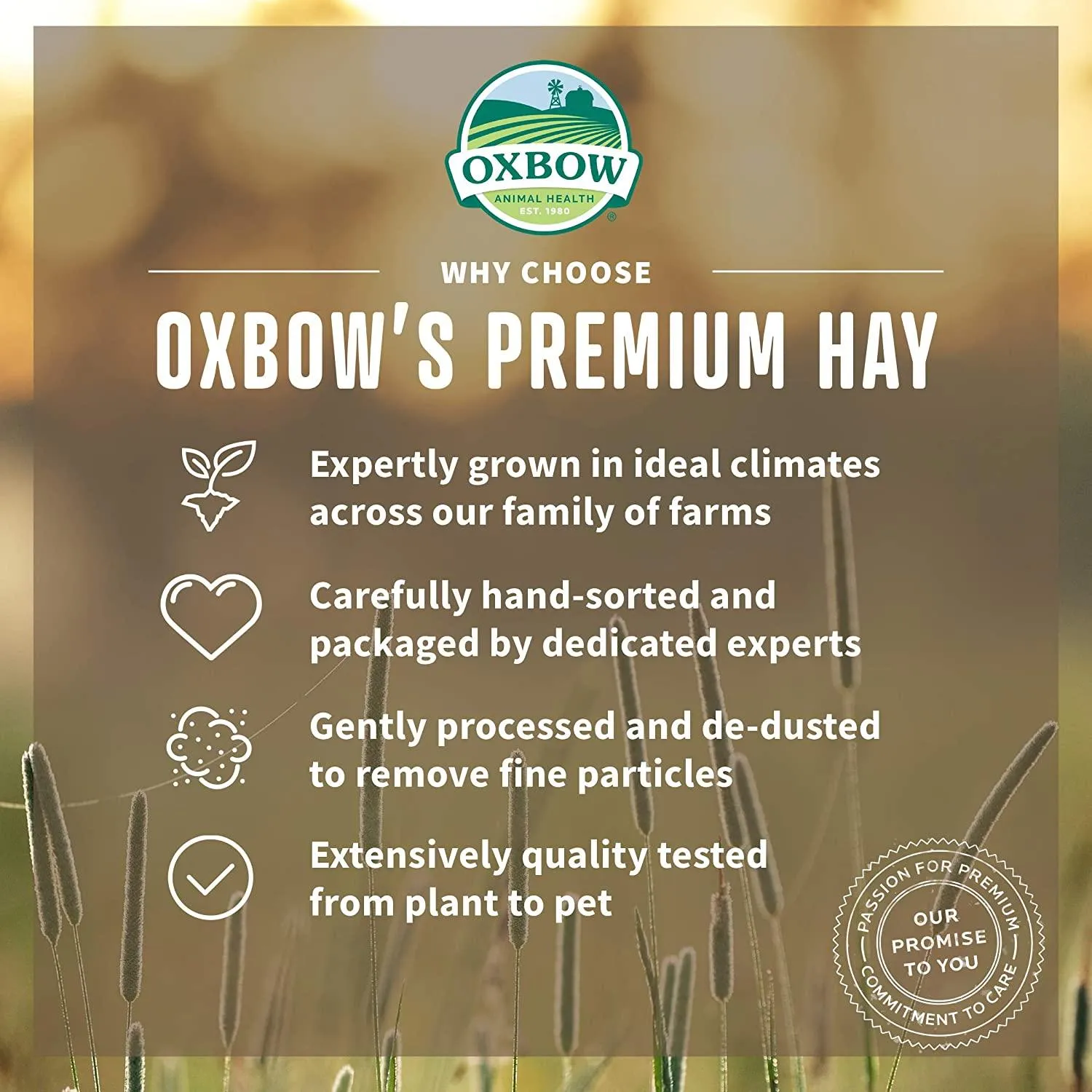 Oxbow Small Animal Health Western Timothy Hay