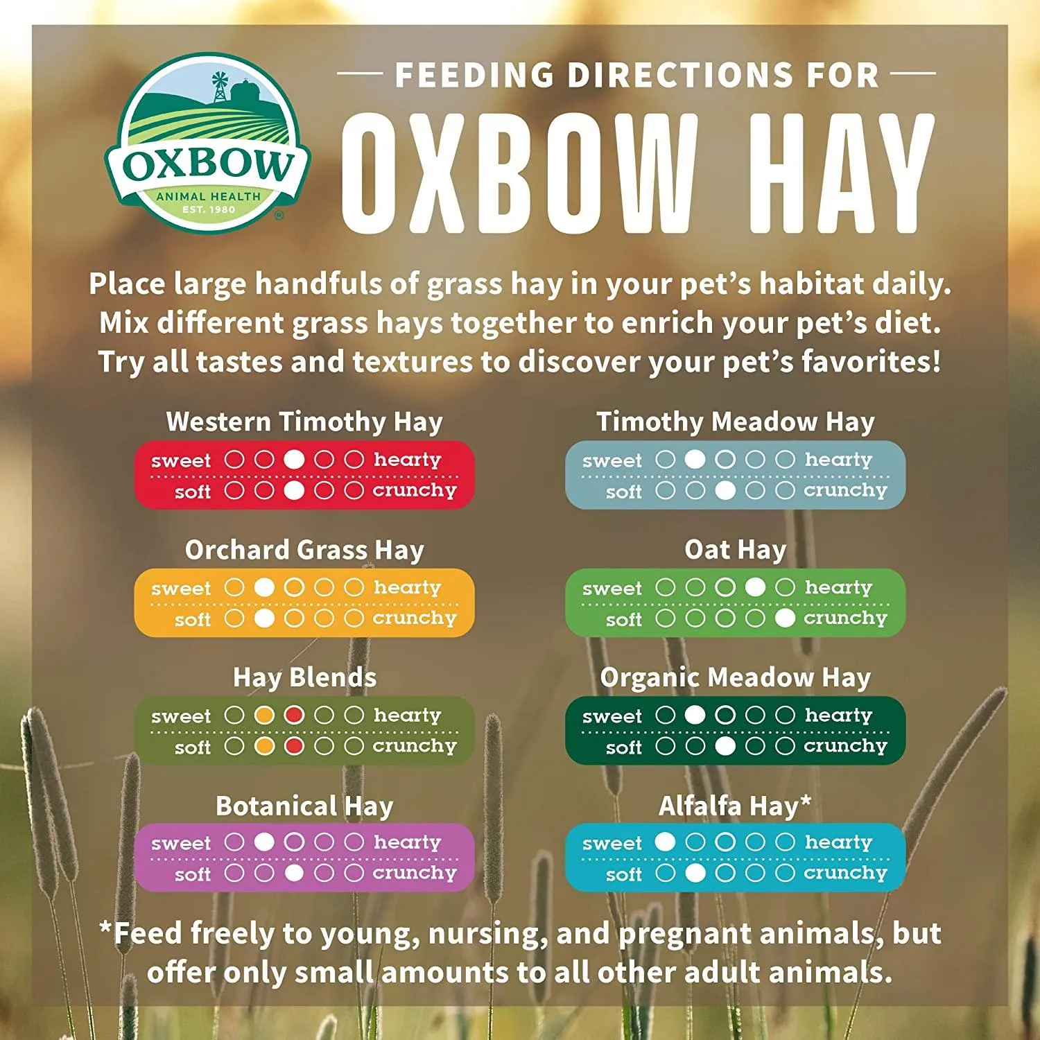 Oxbow Small Animal Health Western Timothy Hay