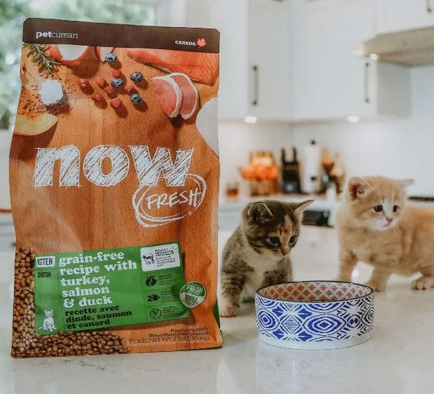 PETCUREAN Now Fresh - Grain-Free Turkey, Salmon   Duck for Kittens