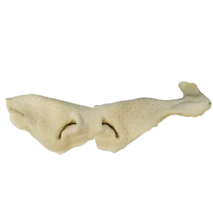 Premium Puffed Beef Snout Dog Treat