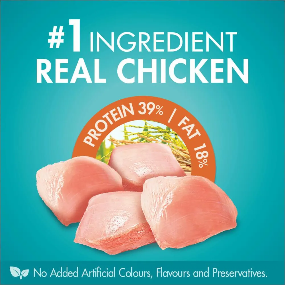 Purina One Adult Urinary Care Chicken Dry Cat Food
