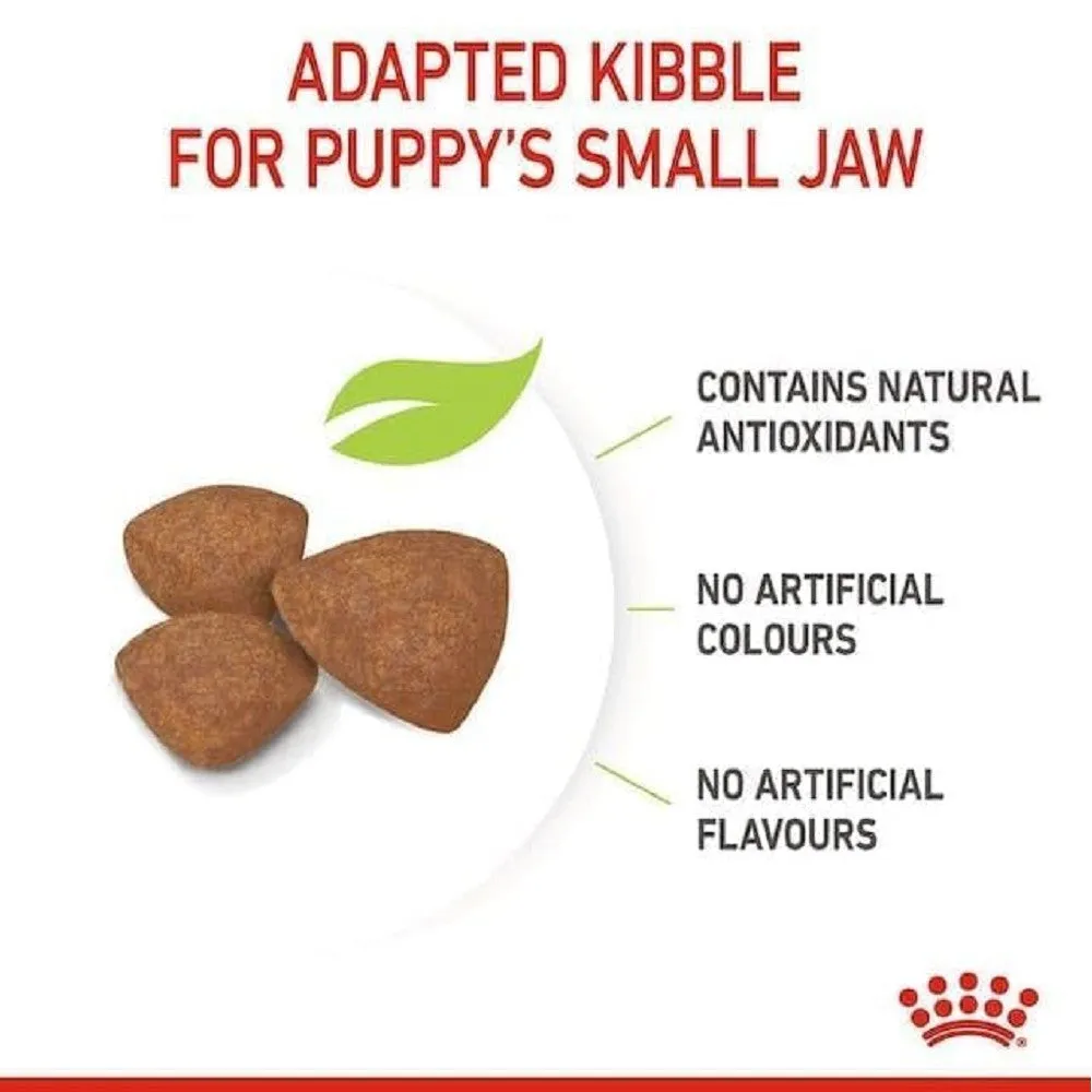 SHN Mini Puppy for 2-10 Months Dog Dry Food