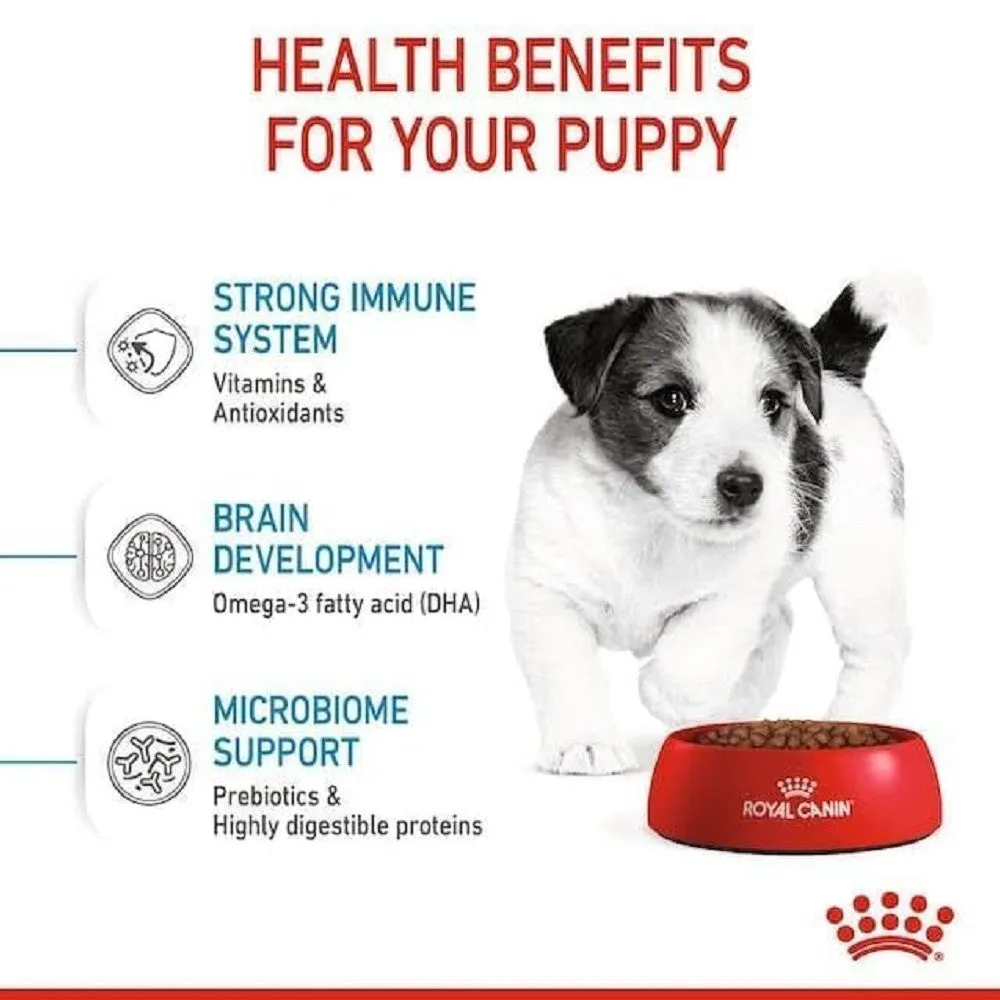 SHN Mini Puppy for 2-10 Months Dog Dry Food