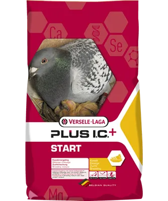 Start Plus - Wholesale