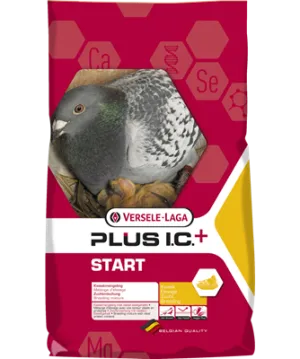 Start Plus - Wholesale
