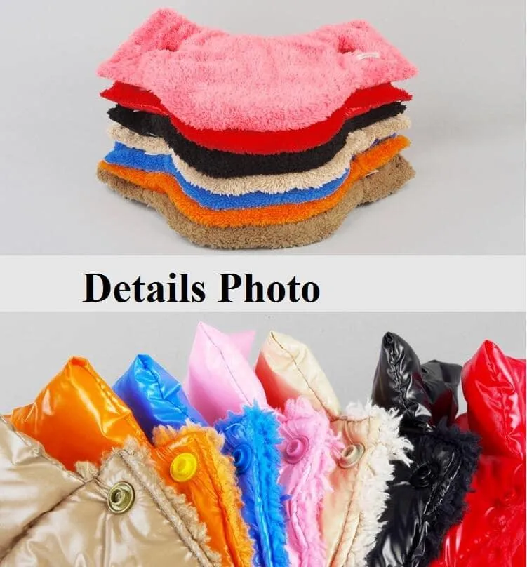 Warm Down Coat for Dogs