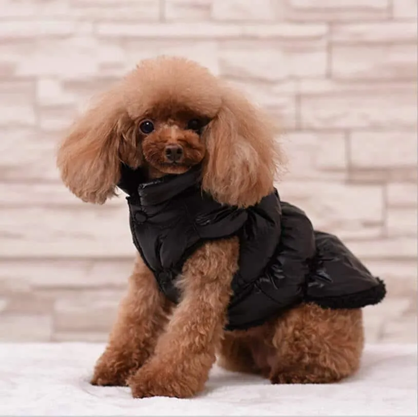Warm Down Coat for Dogs