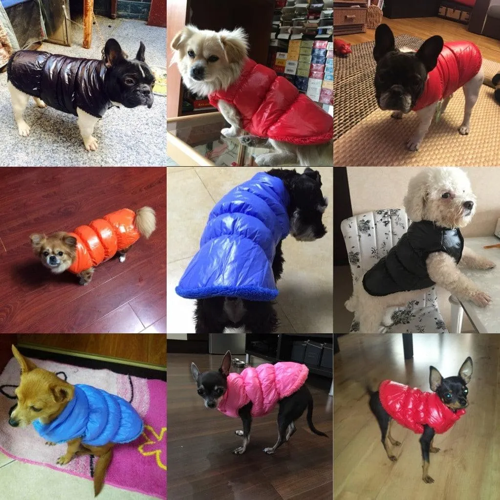 Warm Down Coat for Dogs