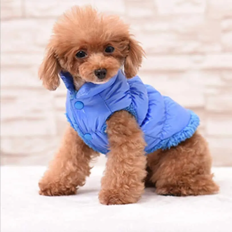 Warm Down Coat for Dogs