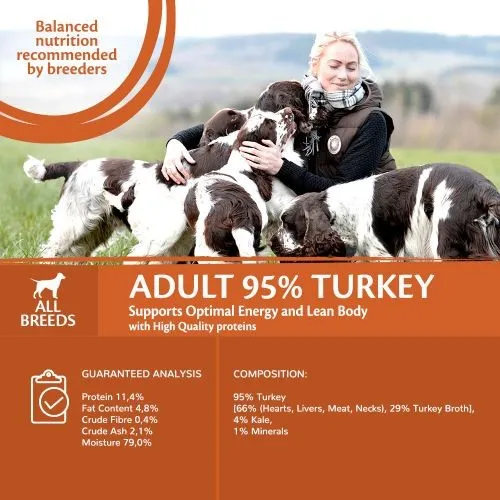 Wellness Core 95% Turkey with Kale Wet Adult Grain Free Dog Food 6 x 400g