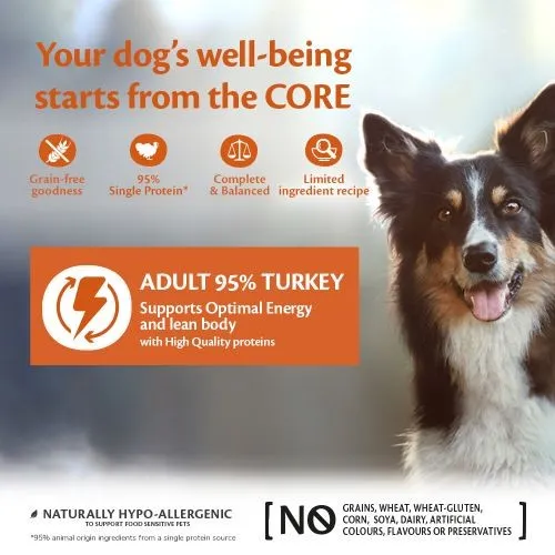 Wellness Core 95% Turkey with Kale Wet Adult Grain Free Dog Food 6 x 400g