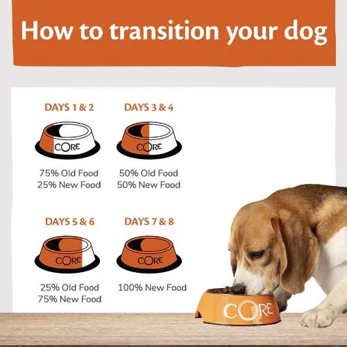 Wellness Core 95% Turkey with Kale Wet Adult Grain Free Dog Food 6 x 400g