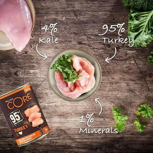 Wellness Core 95% Turkey with Kale Wet Adult Grain Free Dog Food 6 x 400g