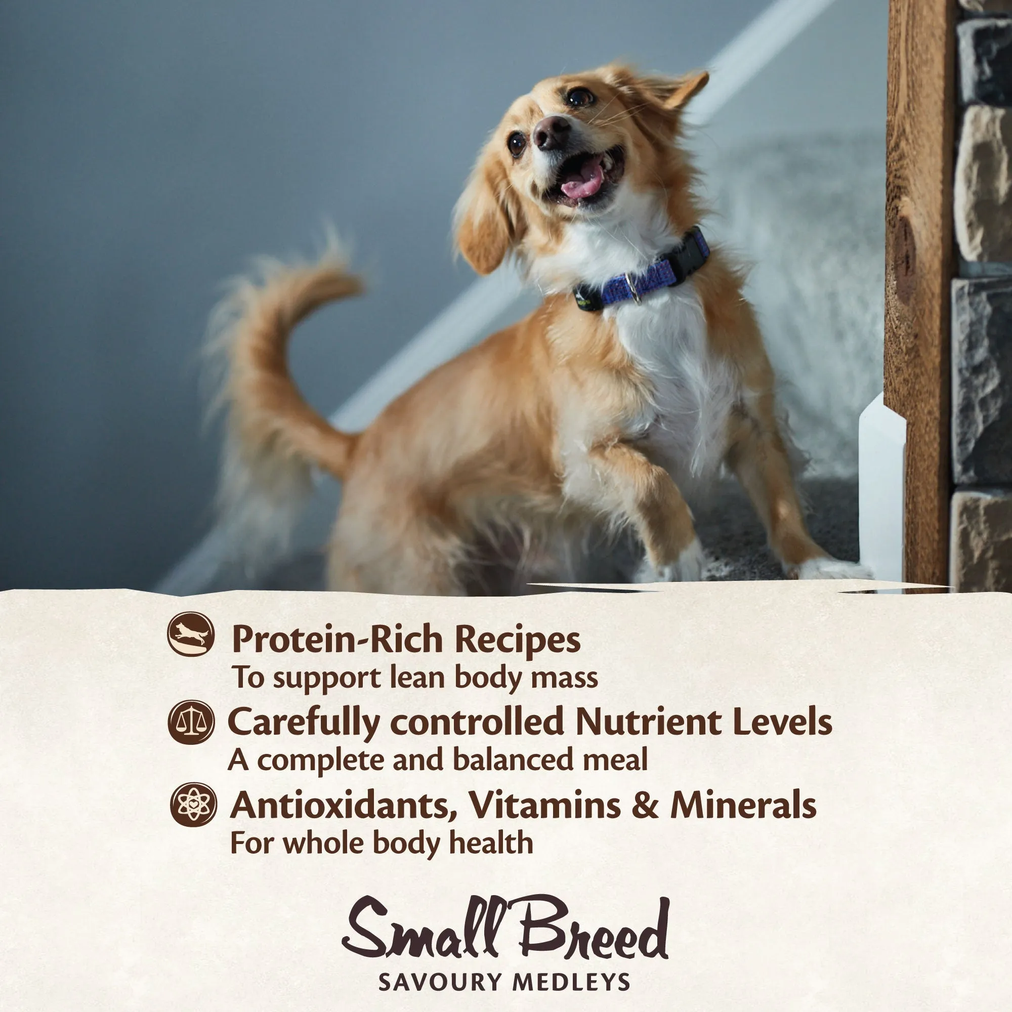 Wellness CORE Savoury Medleys Lamb, Venison, White Sweet Potatoes and Carrots Wet Small Dog Food 85g x 12***