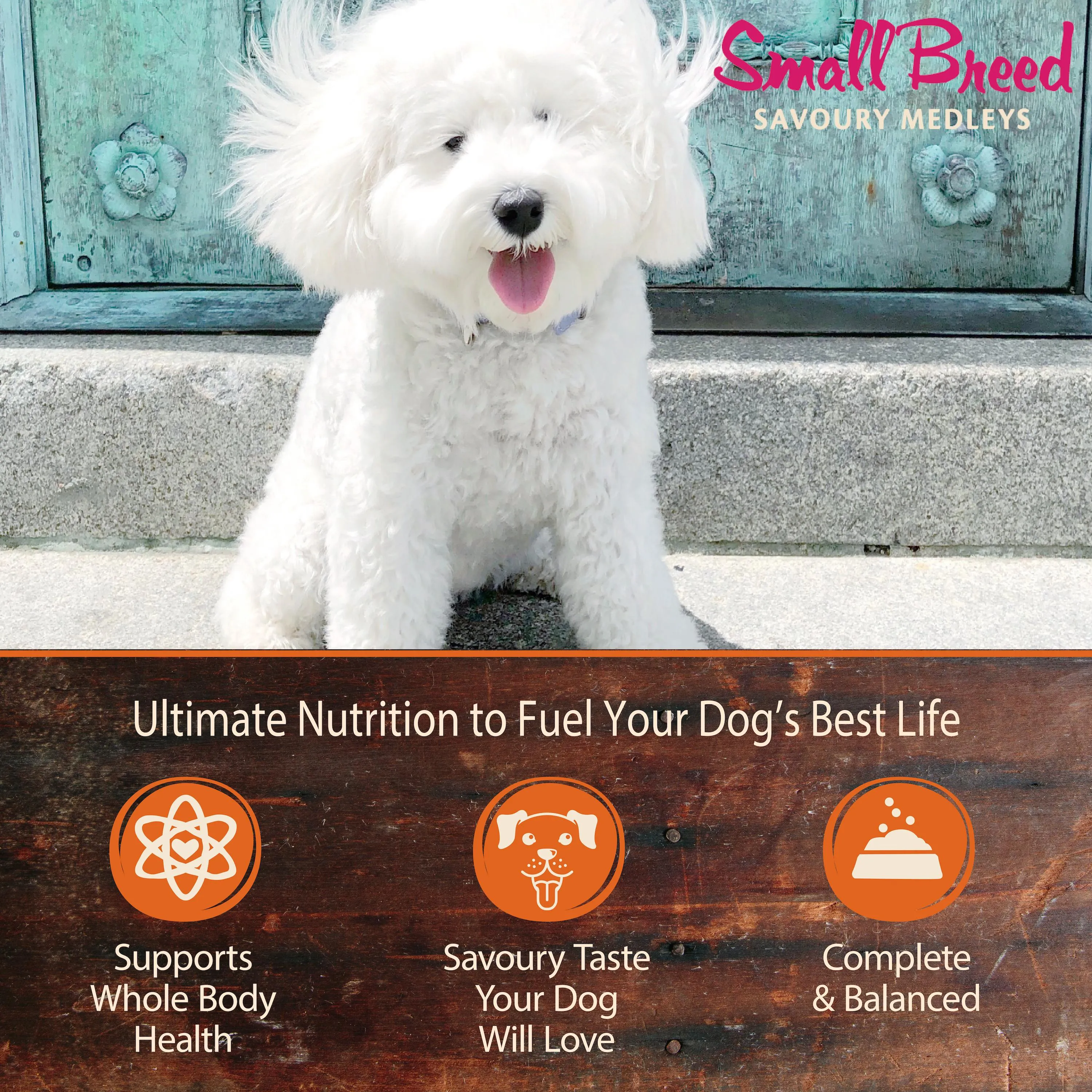 Wellness CORE Savoury Medleys Lamb, Venison, White Sweet Potatoes and Carrots Wet Small Dog Food 85g x 12***