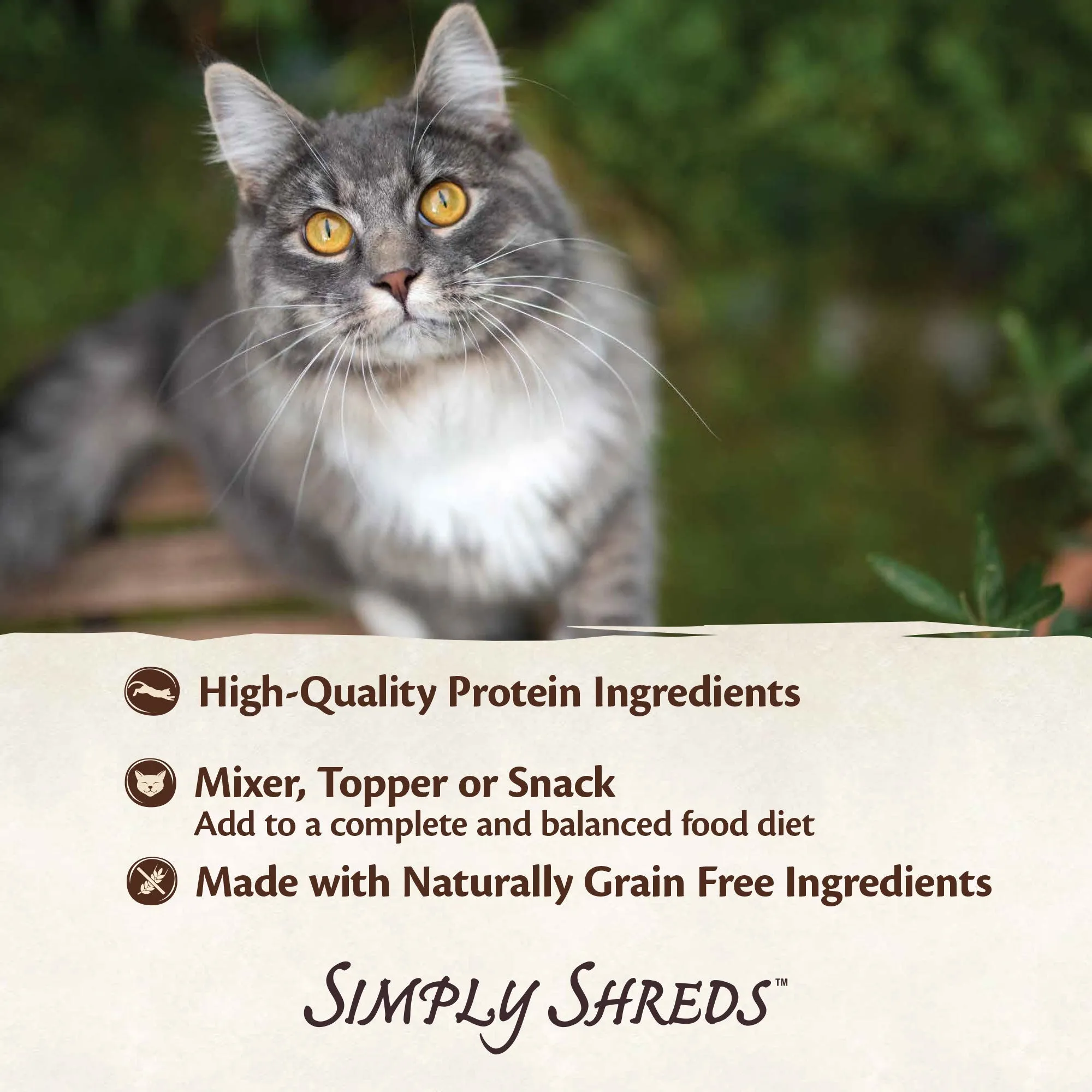 Wellness CORE Simply Shreds Shredded Chicken Wet Cat Food 50g