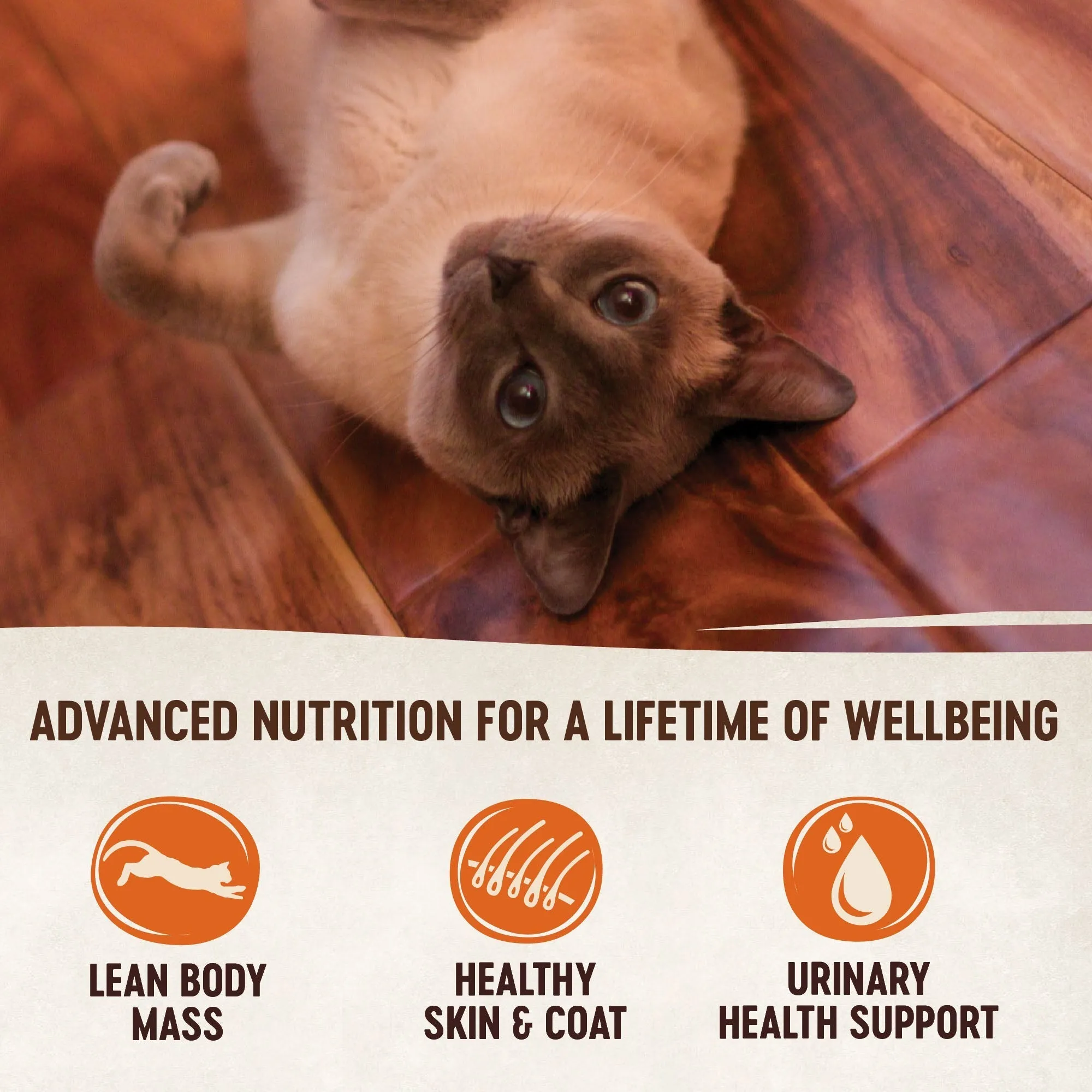 Wellness CORE Simply Shreds Shredded Chicken Wet Cat Food 50g