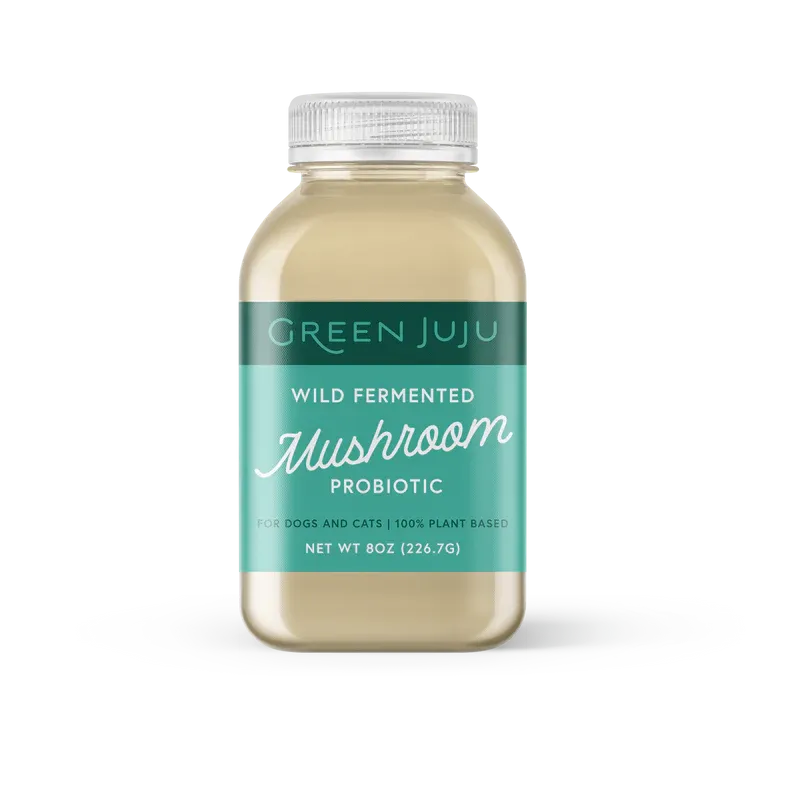 Wild Fermented Mushroom Probiotic - 8oz