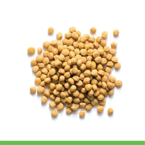 ZuPreem Natural Bird Food, Medium